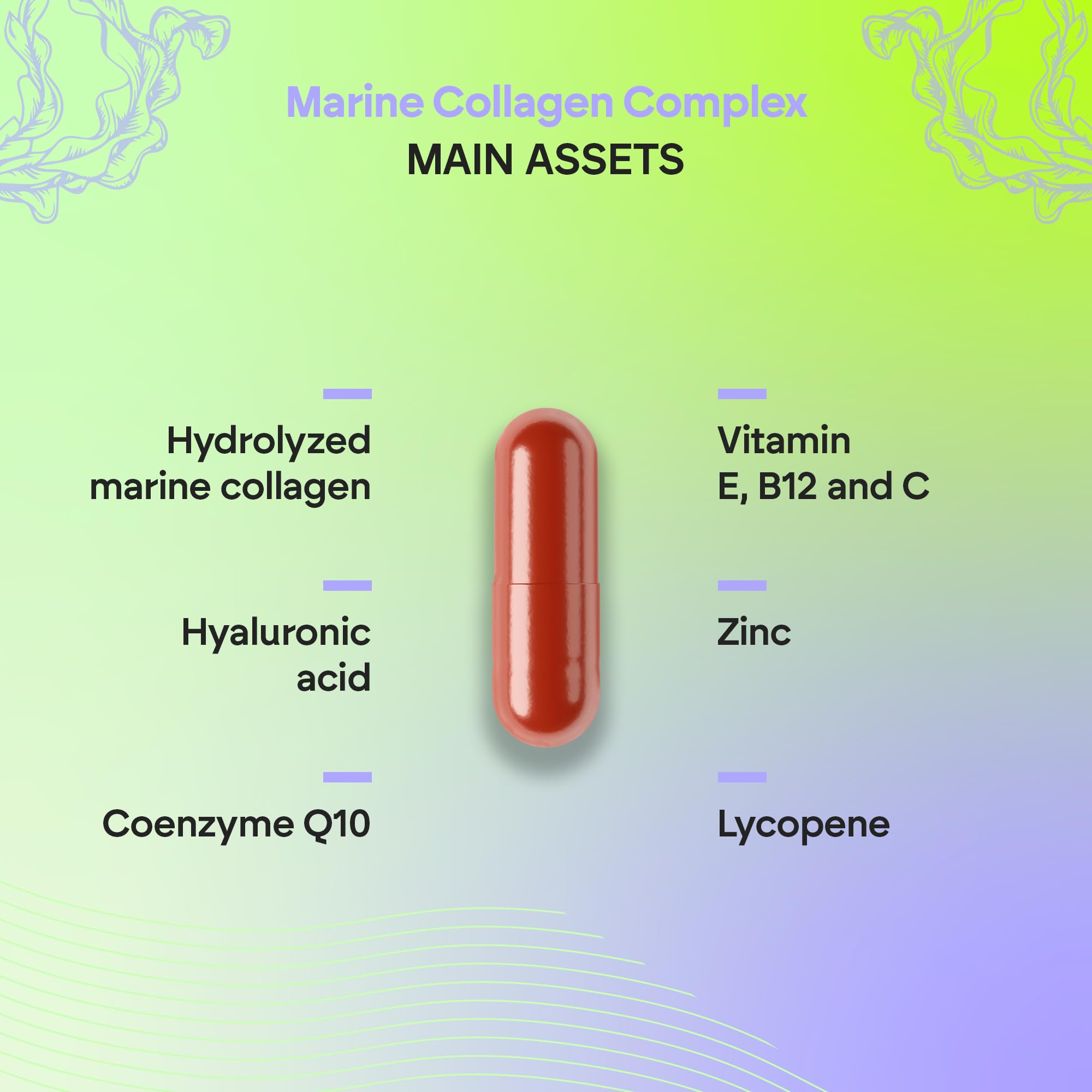 Collagène Marin Hydrolysé + Acide Hyaluronique Q10 Vit C E - Peau - Vitamines C E et Q10-100% Peptides de Collagène de Type I - 60 gélules Nutralie (Lot de 2)