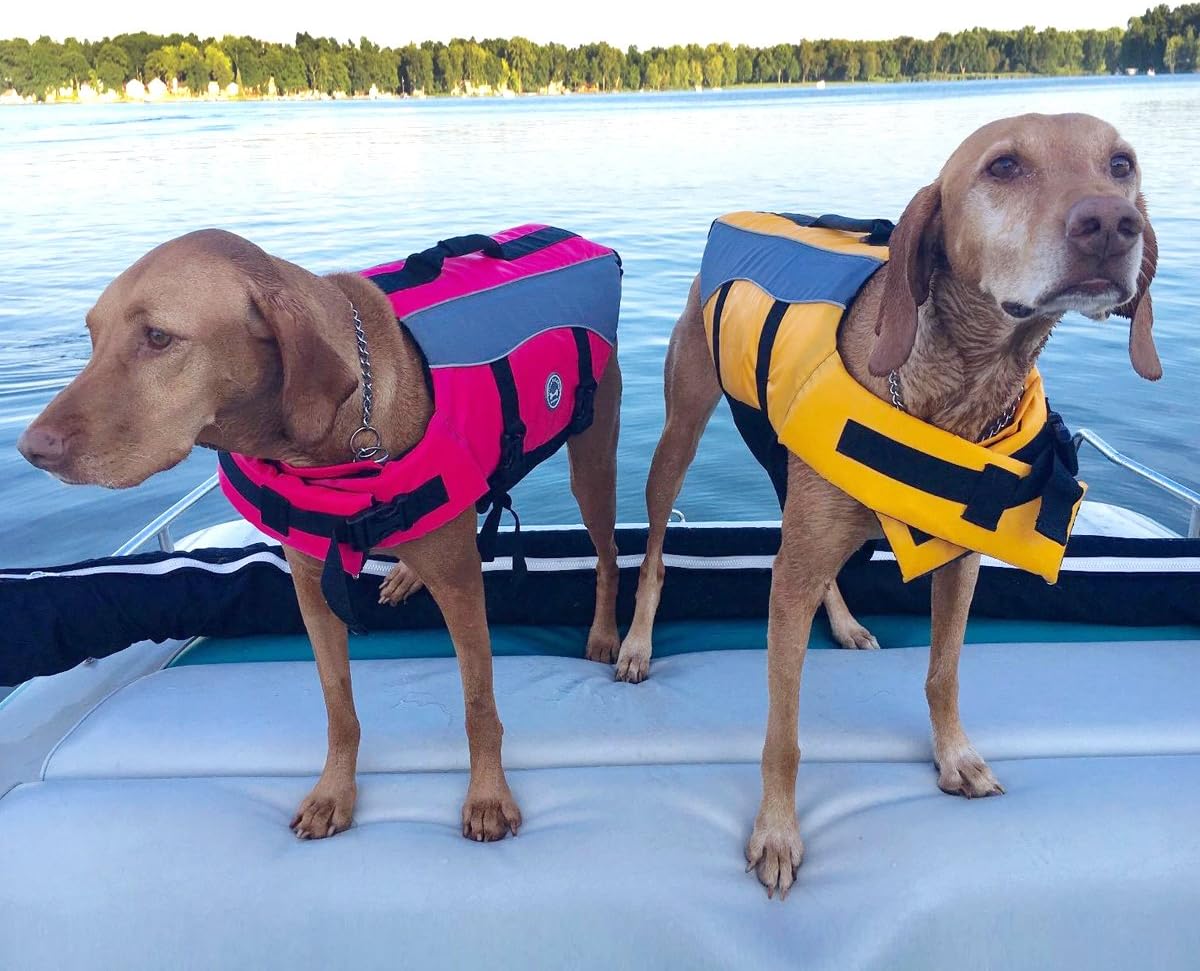 Dog Life Jacket & Hands Free Leash