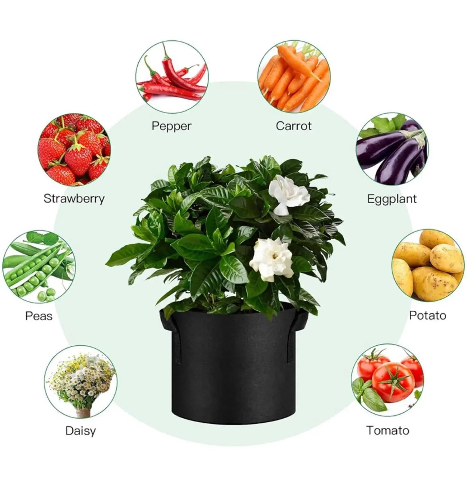 Lot de 5 Sacs Culture en Tissu avec poignées (Capacités Disponibles : 3 gallons, 4, 7, 30 gallons) pour Plantes(30gallons 60x40cm)