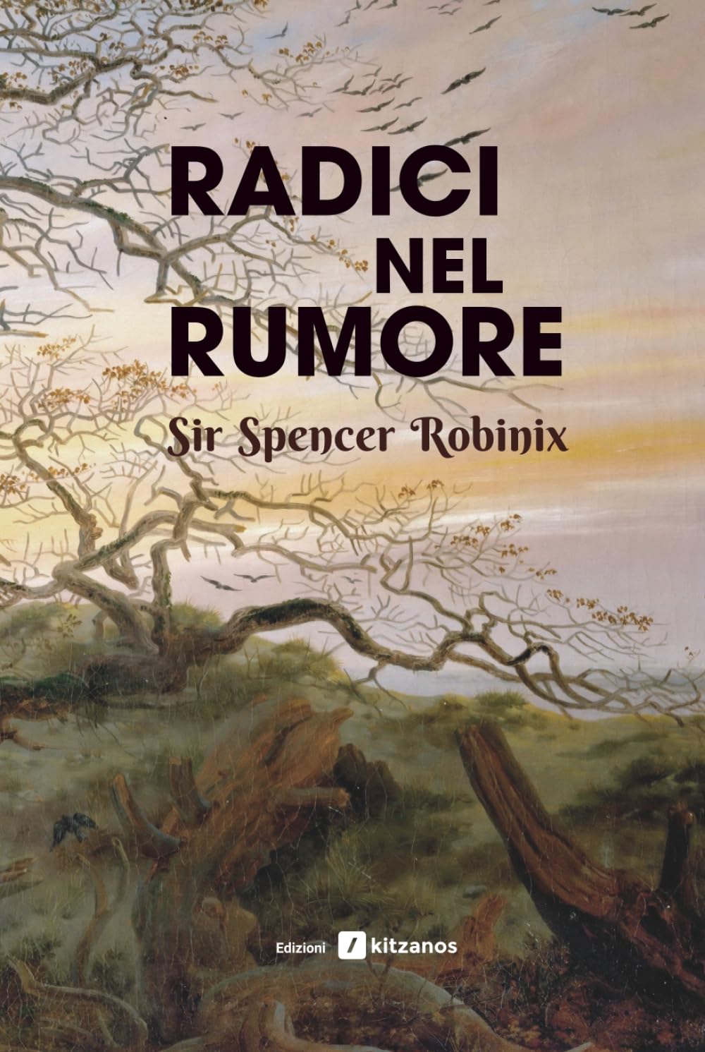 Radici nel rumore (Spencer Robinix)