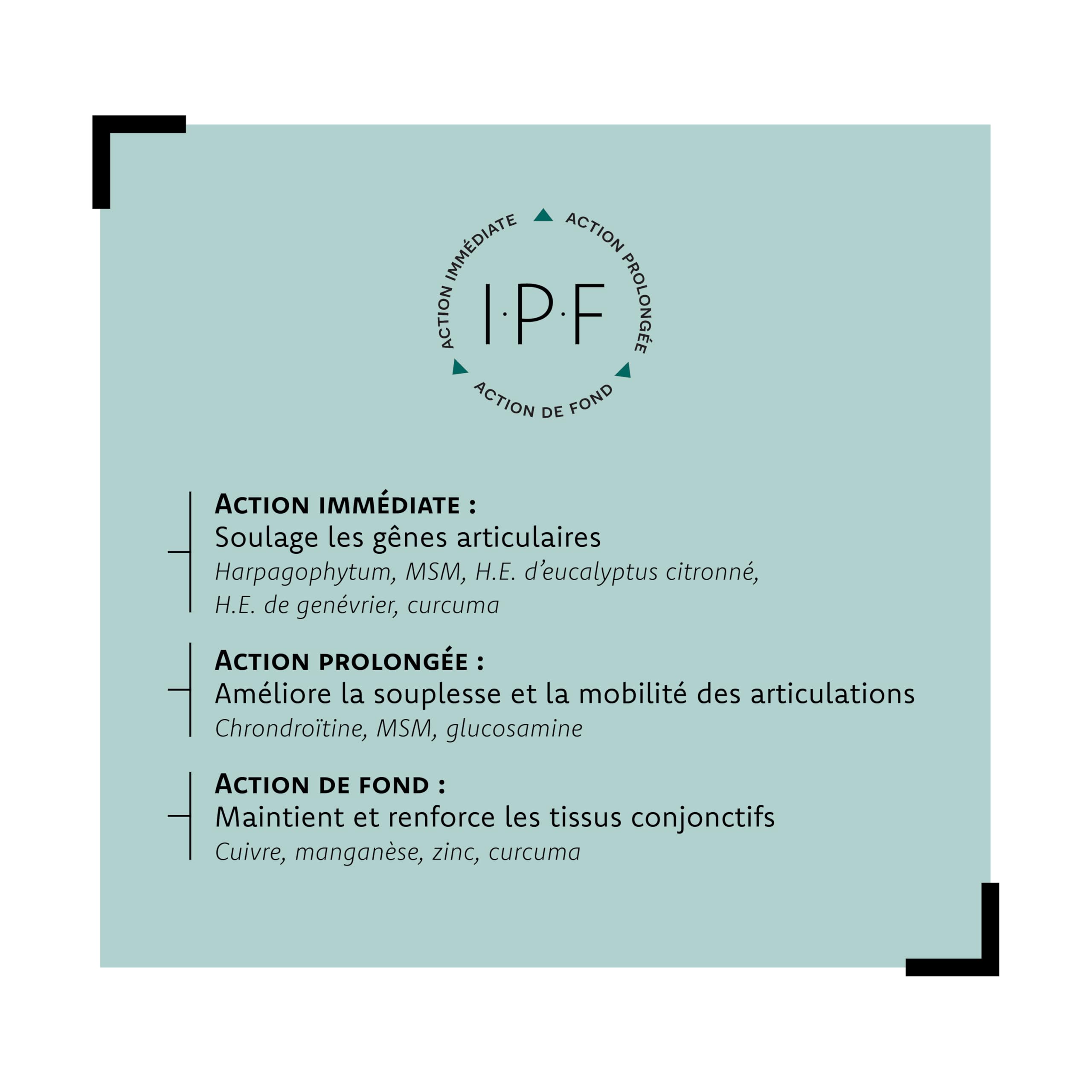 ARAGAN | Synactifs Lot de 2 Flexactifs | Complément Alimentaire Bien-Etre Articulaire | Glucosamine, Harpagophytum, Curcuma, Eucalyptus et Zinc | 120 gélules | 2 mois prise | Fabriqué en France