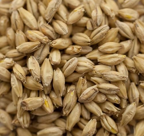 Great Western Malting Co. Malta orgánica de 2 filas - 1 libra, triturada