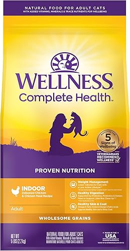 Wellness Complete Health Alimento seco natural para gatos con granos saludables, fabricado en Estados Unidos con carne real (gato adulto, receta de