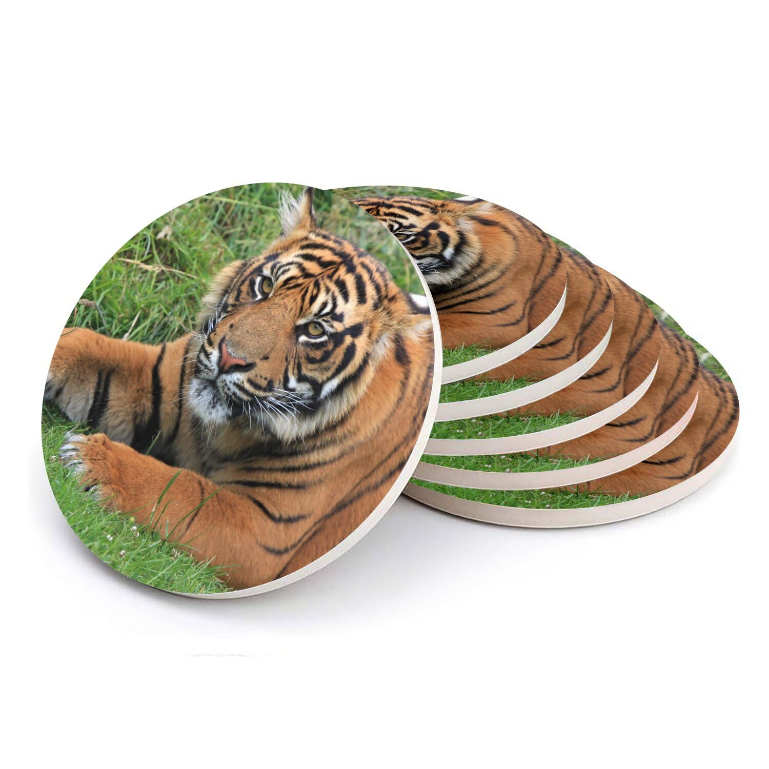Sous-verre ronds en céramique tigre protège table décoration vie sauvage