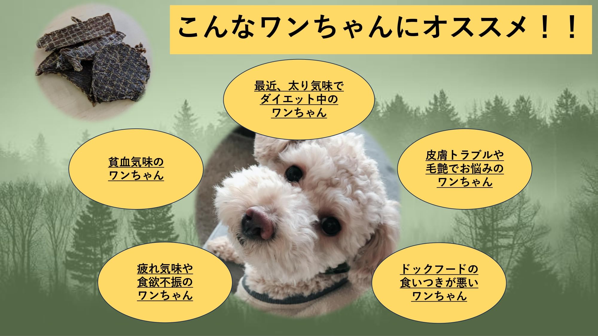 Amazon | 【北海道の良質なエゾ鹿肉を100％使用】北海道産 鹿肉