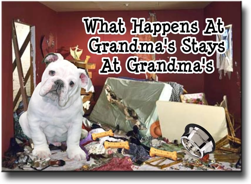 English Bulldog What Happens At Grandma's Fridge Magnet # 3
