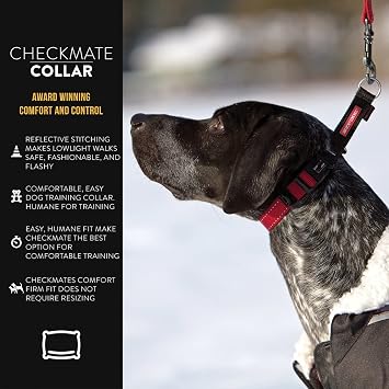 EzyDog Checkmate Martingale Collar for Dogs Premium Nylon Training Dog Collar for Easy Control with no Choking (Small, Black)