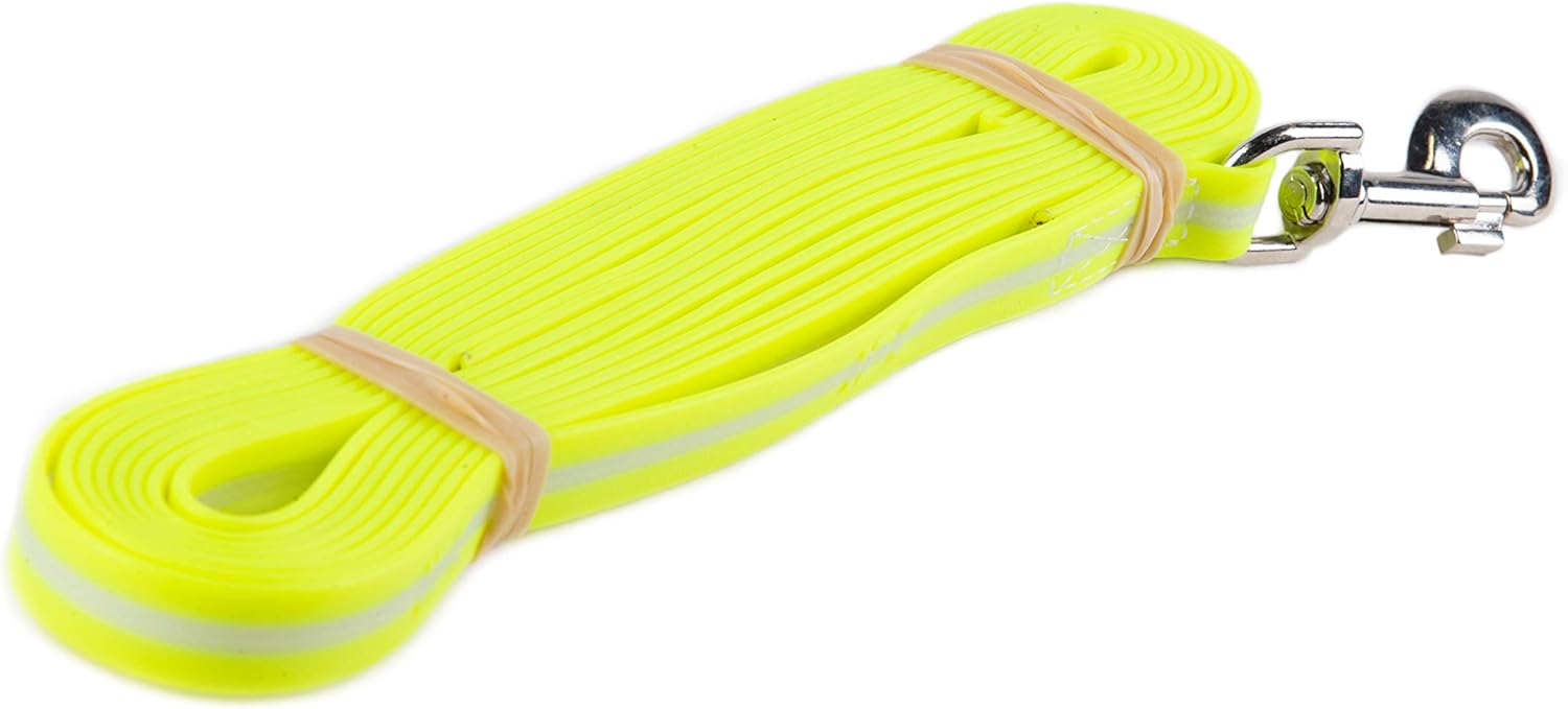 Julius-K9 IDC-Lumino Phosphorescent Leash with Handle, 0.75 in x 16.4 ft, Sun