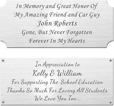 2.5" H x 6" W, Personalized, Custom Laser Engraved, Brushed Stainless Steel Plate Picture Frame Name Label Art Tag for Frames, with Adhesive Backing or Screws