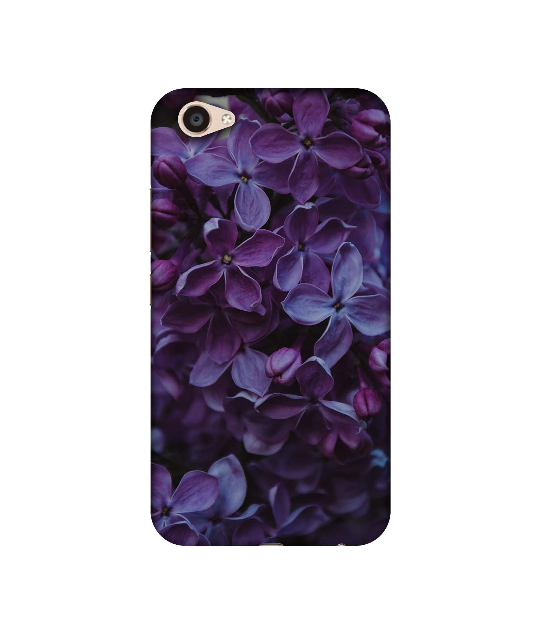 Amazon Brand - Solimo Designer Purple Flowers UV Printed Soft Back Case Mobile Cover for Vivo V5 Plus (B08569VSJG) Amazon Price History, Amazon Price Tracker