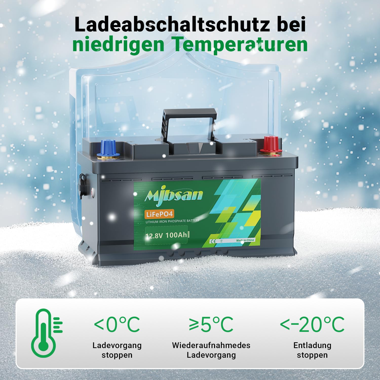 12 V 100 Ah LiFePO4-Lithium-Batterie RV Deep Cycle Battery, eingebautes 100 A BMS, 1280 W Ausgangsleistung für Wohnmobile, Solaranlagen, Marine, Energiespeicherung zu Hause und netzunabhängig