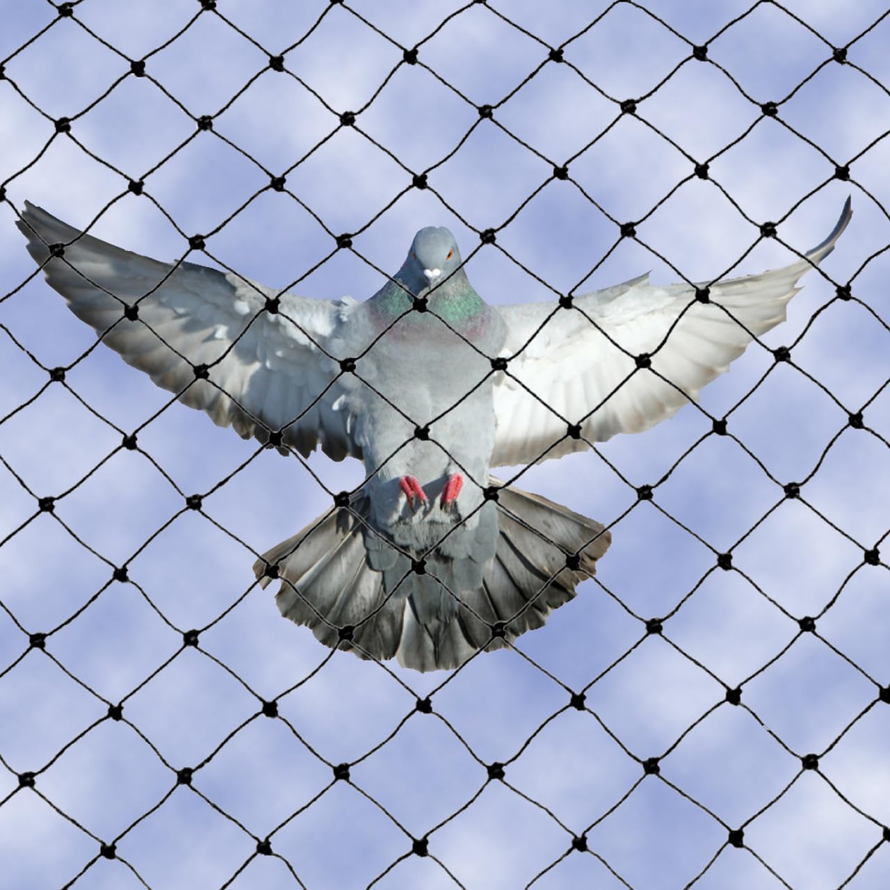 BirdFlee Bird Net | Pigeon Net | White Net 10 feetx10 feet | 12 Ply | Balcony Net for Bird Control & Pigeon Control (B0CFDPT9GQ) Amazon Price History, Amazon Price Tracker