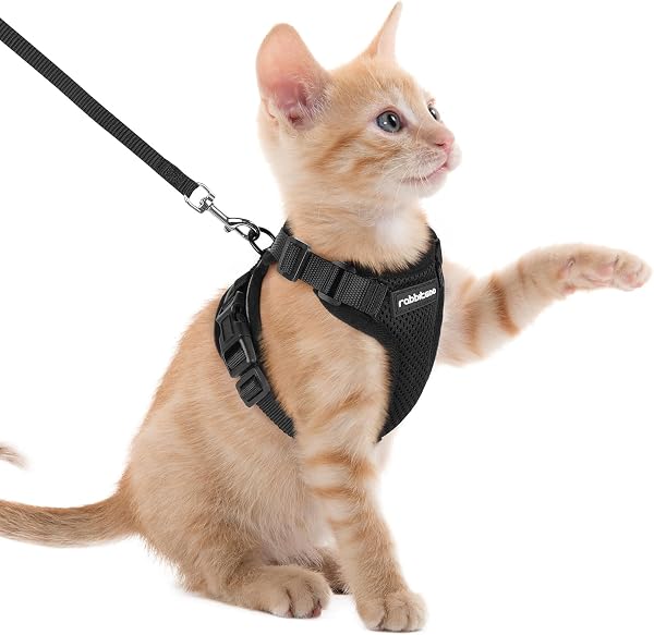 Rabbitgoo Harnais Chat Anti-évasion Noir avec Laisse