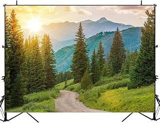 Mountain Landscape Backdrop Bitrhday Party Decorations Photography Studio Photo Backdrops Background Props Wall Decor Photoshoot Podcast