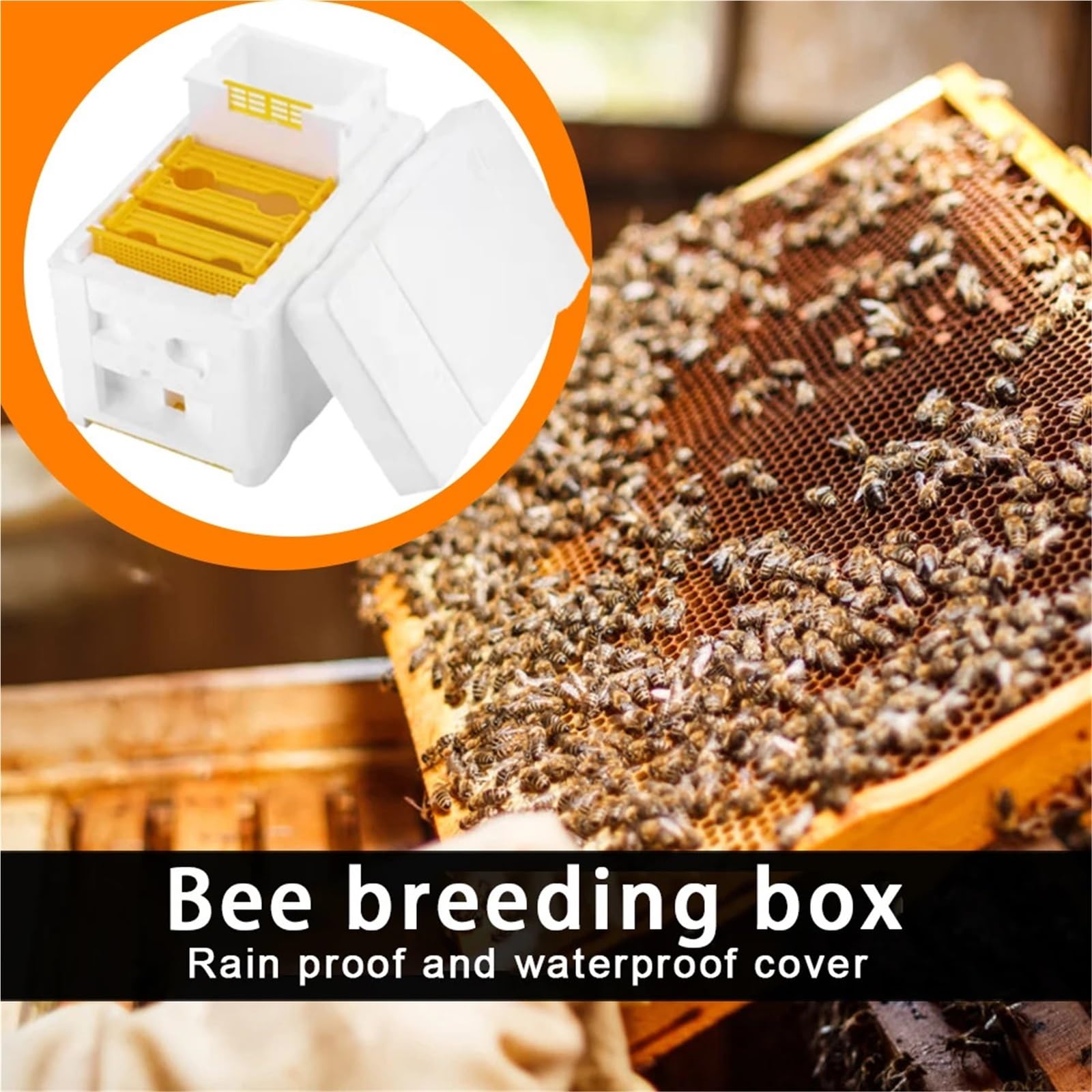 Bienenstock-Rahmenhalter-Ausrüstungs-Kit – Imkerbox mit Schaumstoff, unverzichtbare Werkzeuge für Garten- und Bienenhaltung, langlebiges und effizientes Bienenstockmanagement