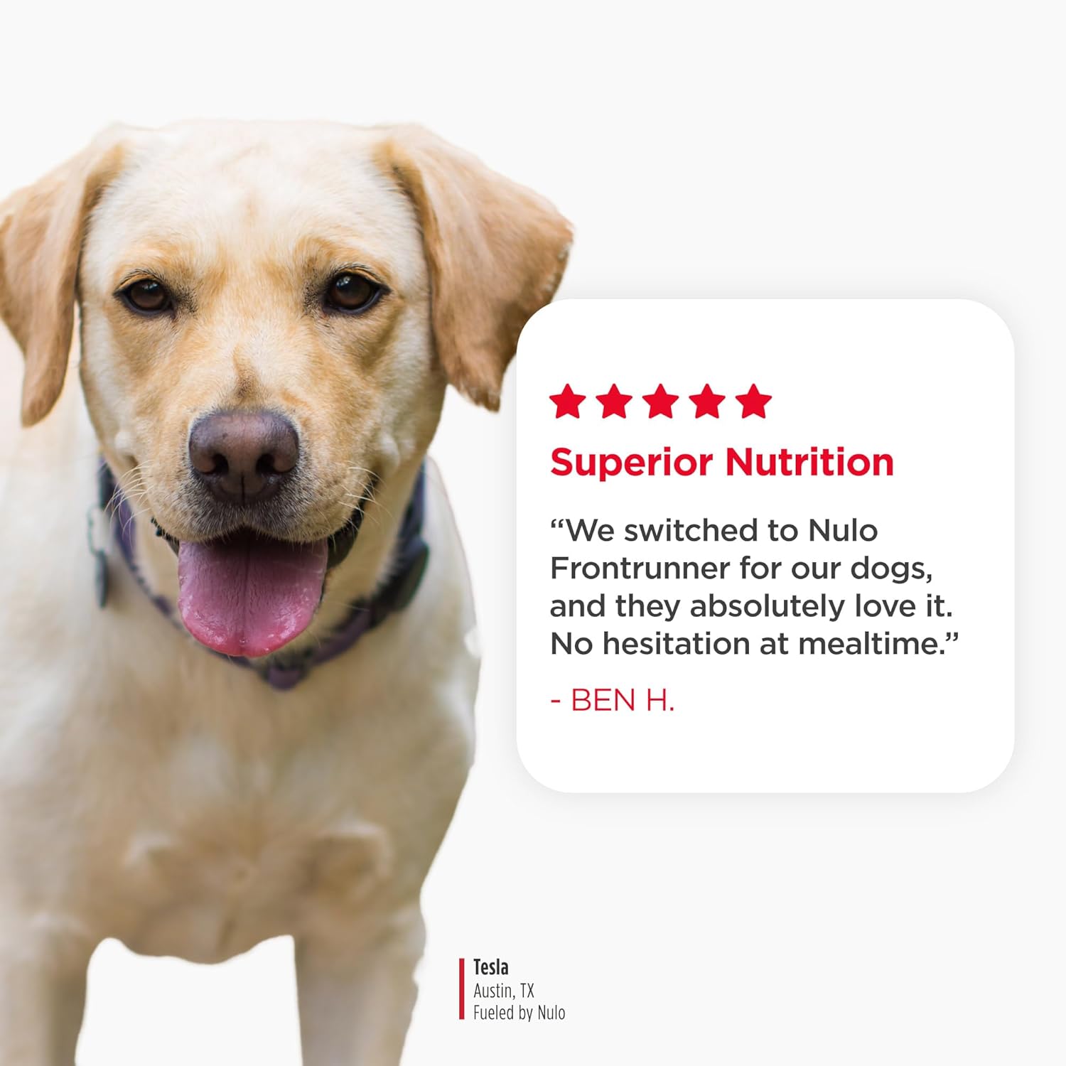 Nulo Frontrunner Dry Dog Food - Adult High-Protein Turkey, Trout & Spelt Recipe, Natural Kibble with Ancient Grains, Probiotics, Taurine, Omega 3 for Small, Medium and Large Breeds, 25lb Bag