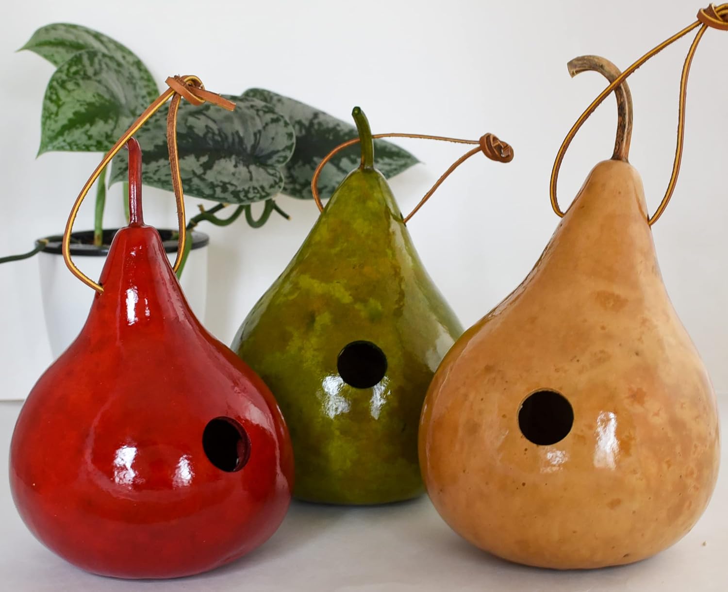Gourd Wren House - Small - Set of 3 - Bird Lovers Gift