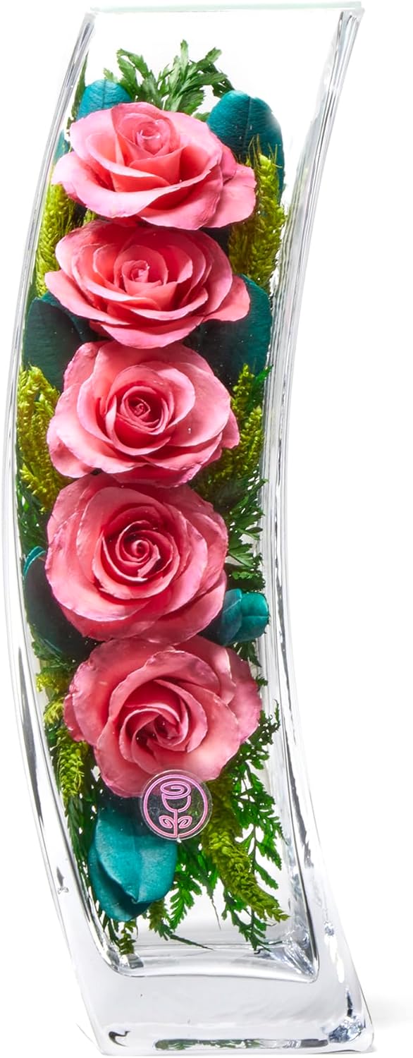 In Flores Veritas | Fresh Cut Preserved Roses in a Sealed Glass Vase | Long Lasting Bouquet Stays Fresh for 5+ Years | No Water Needed | Allergy Free | Unique Present Gift (Single Dark Pink)