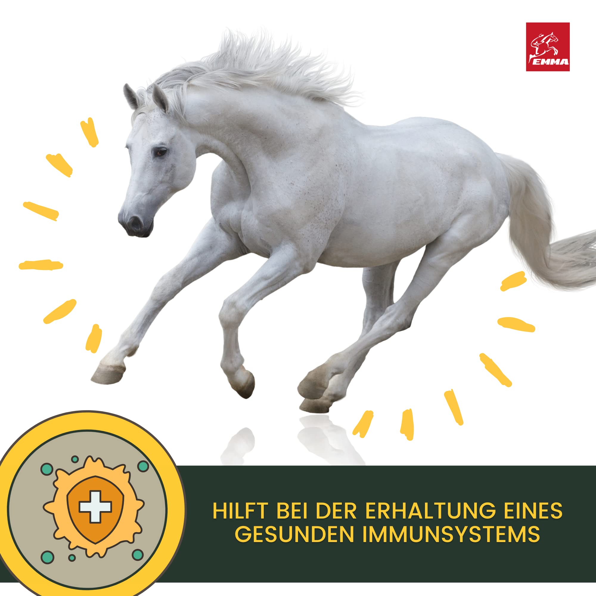 Olio di lino per cavalli e cani mangime per cavalli integratore alimentare I omega 3-6 acidi grassi in olio I spremuto a freddo I vitamine A, D & E I per pelo lucido ed energia I 100% naturale 2,5L