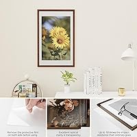 Vista 596 de Fun Memories Portarretratos de metal de 16 x 20 pulgadas con paspartú de 11 x 14 pulgadas, acabado de aluminio cepillado, parte delantera de vidrio