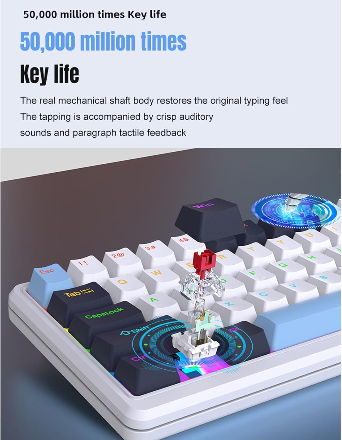 Tangxi 75% Mechanical Gaming Keyboard, RGB Backlit Mechanical Keyboard with Volume Knob, Blue Switch, N Key Roll Over, 78 Keys USB Wired Office Keyboards for PC Laptop (Blue White Black)