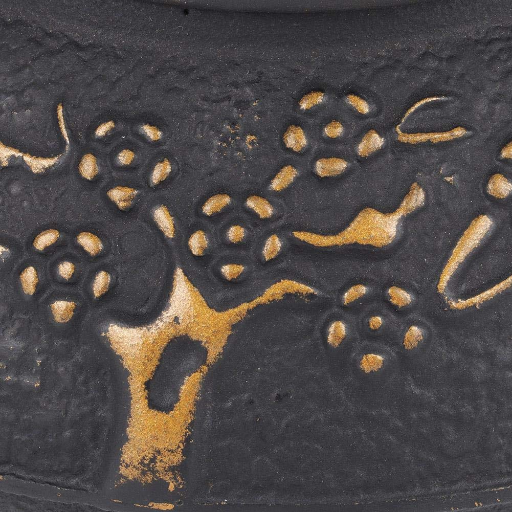 Duokon Tetera de hierro fundido, tetera de hierro resistente a la corrosión, tetera con tapa, apta para cocina de inducción o estufa de hierro fundido