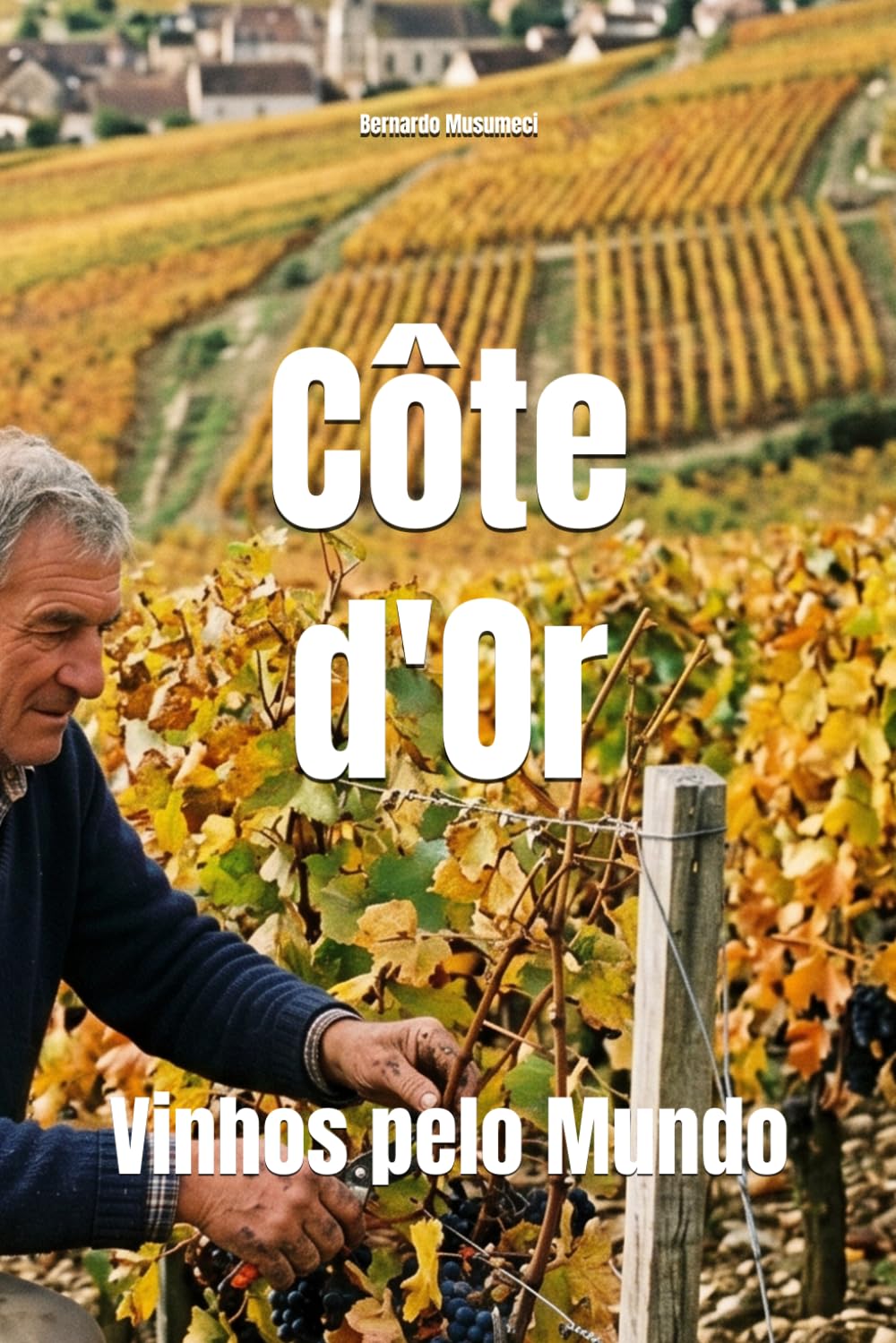 Côte d'Or: Vinhos pelo Mundo (Wines of the World: France)