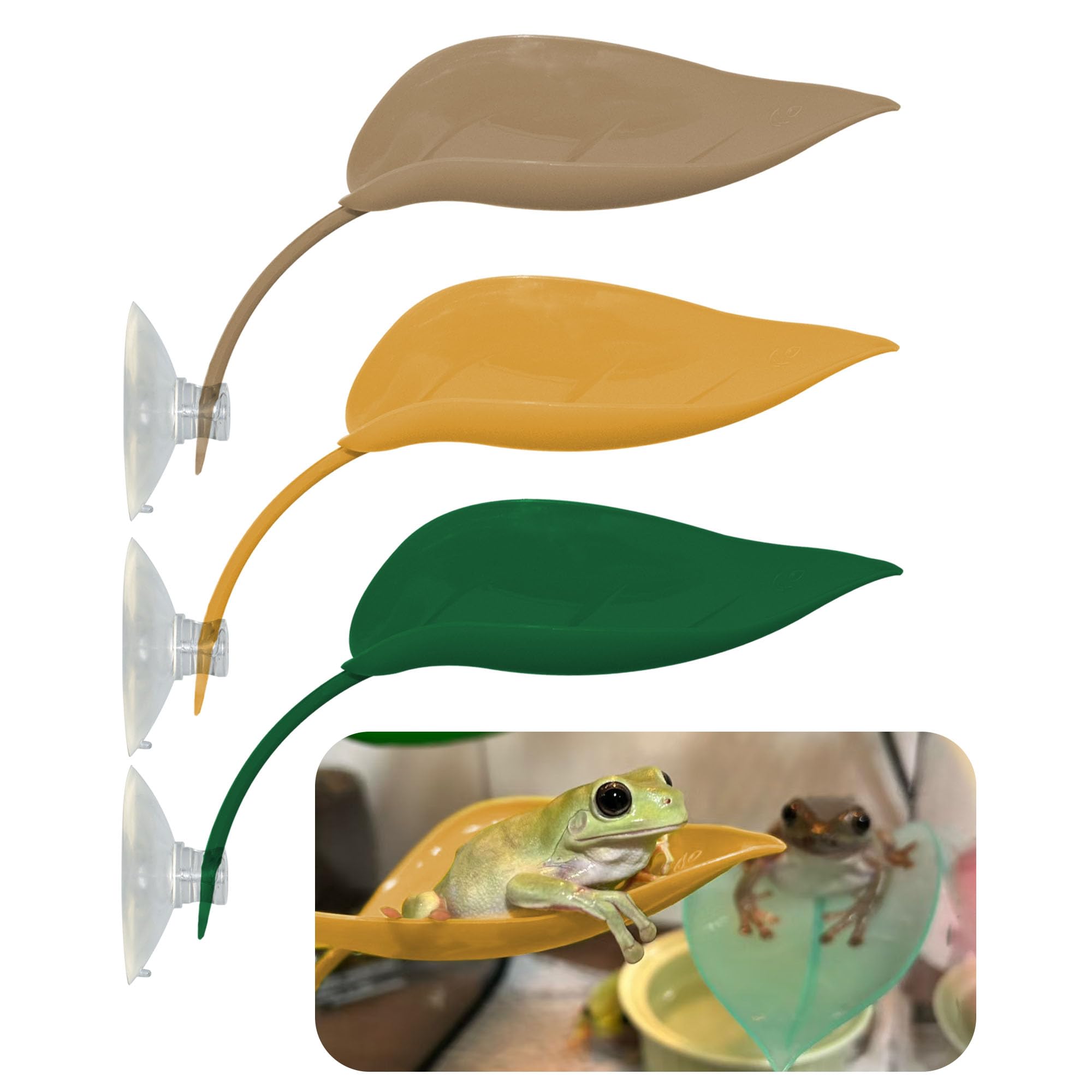 Tree Frog Terrarium Accessories, 3PCS Turtle Basking Platform