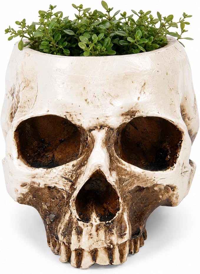 ChezMax Skull Planter Suger Holder Resin Flower Succulents Pot Skeleton Flowerpot Candy Bowl Halloween Dish Statue Sculpture Skeleton Indoor Outdoor Decoration