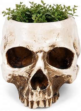 ChezMax Skull Planter Suger Holder Resin Flower Succulents Pot Skeleton Flowerpot Candy Bowl Halloween Dish Statue Sculpture Skeleton Indoor Outdoor Decoration