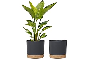kubvici Pots for Indoor Plants, Large 12 Inch 2-Pack