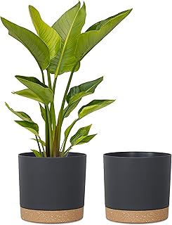 Sponsored Ad - Kubvici Plant Pots for Indoor Plants, 2 Pack 12 Inch Plastic Flower Pot Planters with Drainage Saucer for I...