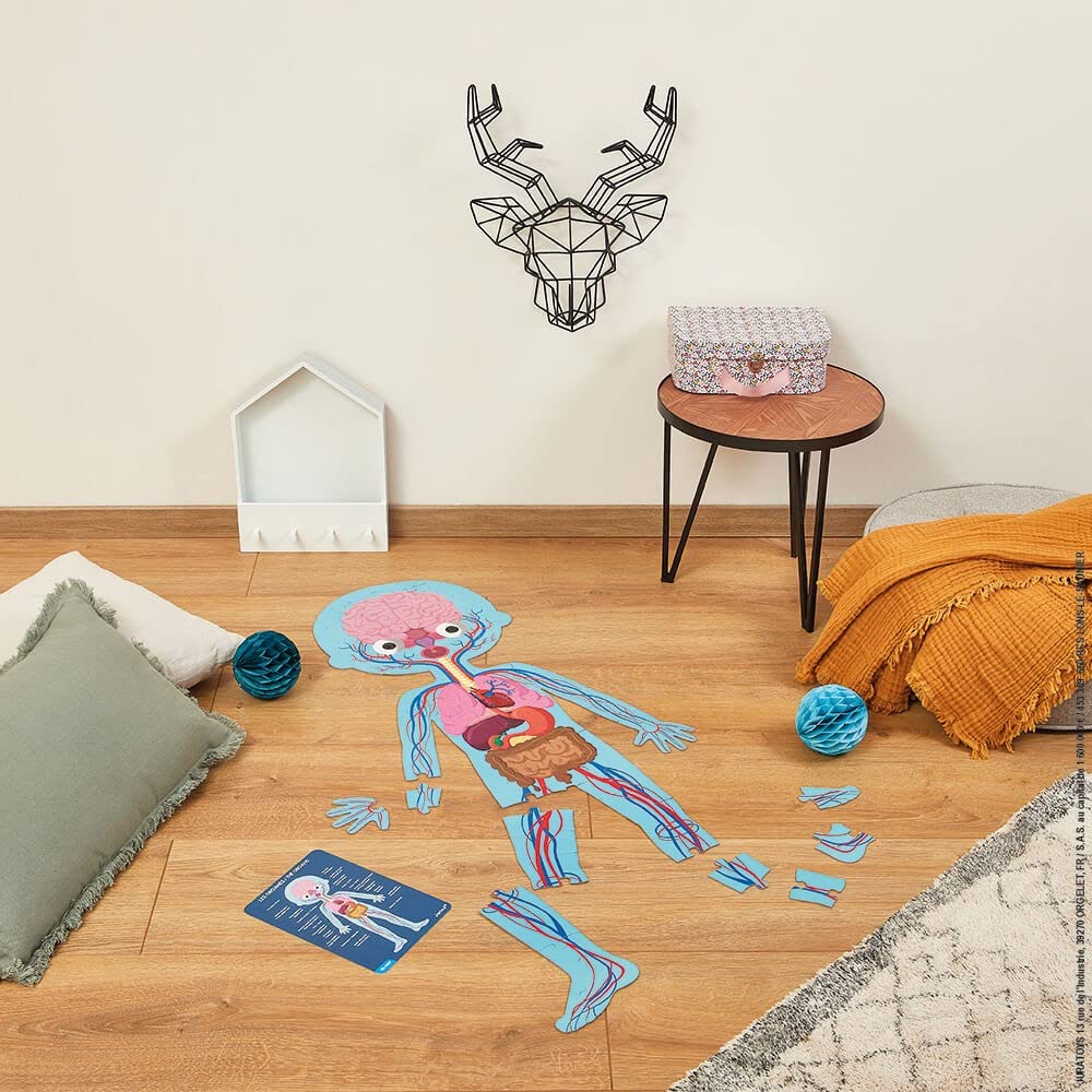Janod - Juego de 4 Puzzles Gigantes sobre el Cuerpo Humano - 50, 75 y 100 Piezas - Tarjetas educativas en 12 Idiomas - Descubrimiento del Cuerpo Humano - A Partir de 5 años, J02681