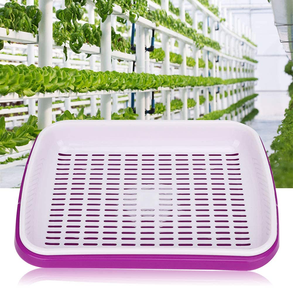 ISTARA Double Layer Sprouting Vegetable Plate Bud Seedling Tray Bean Sprout Soilless Culture Tool for Garden Home Office (1Pcs- Multi Color)