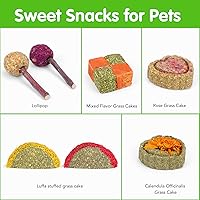 Vista 25 de VESPRO Juguetes de conejo para conejos, juguetes masticables de conejo para dientes, conejito para conejillos de indias, juguetes para masticar