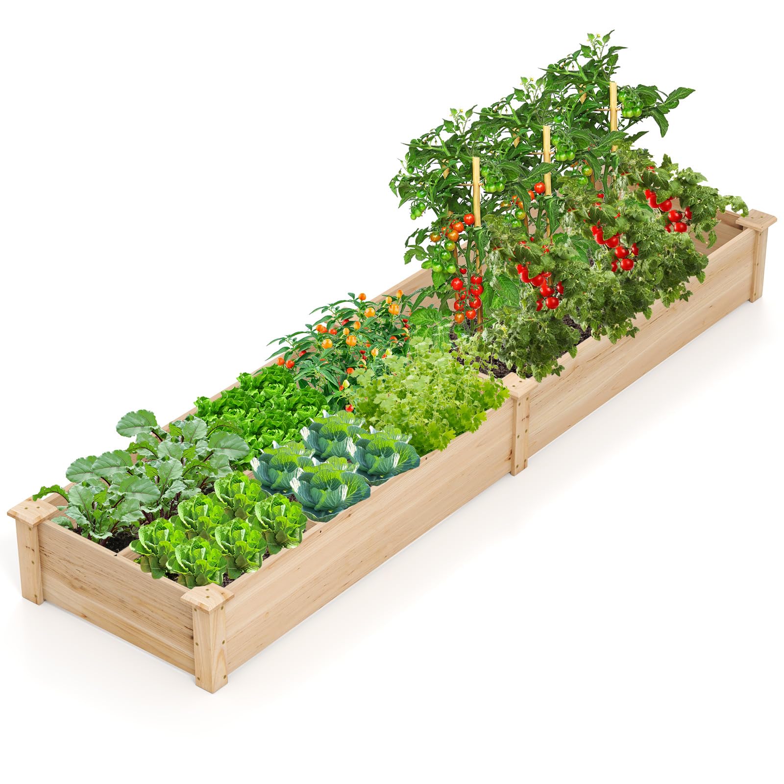 GOPLUS Huerto Urbano de Madera de Abeto 0,26 m³, Cama de Jardín Elevada, Jardinera con 2 Cajas de Plantas y Divisores para Cultivar Flores Verduras Frutas Hierbas, para Exterior Terraza, 228x62x25cm
