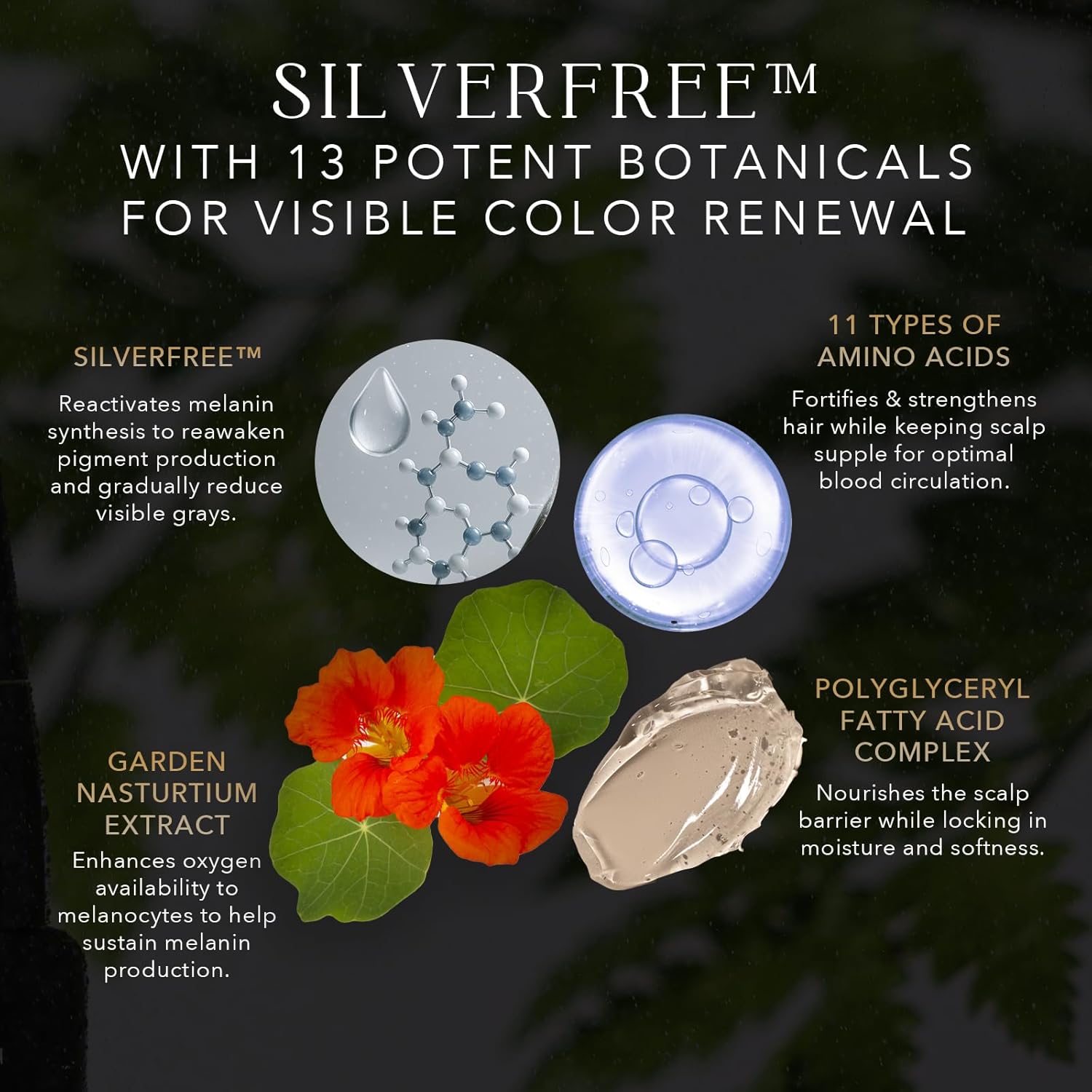 Kiwabi Root Vanish Anti Gray Hair Serum – Lightweight Daily Scalp Serum to Support Repigmentation – Hair Serums for Women & Men with Biomimetic Peptide, Ginseng, B12 – No Sulfates, No Parabens (30ml) - Image 3