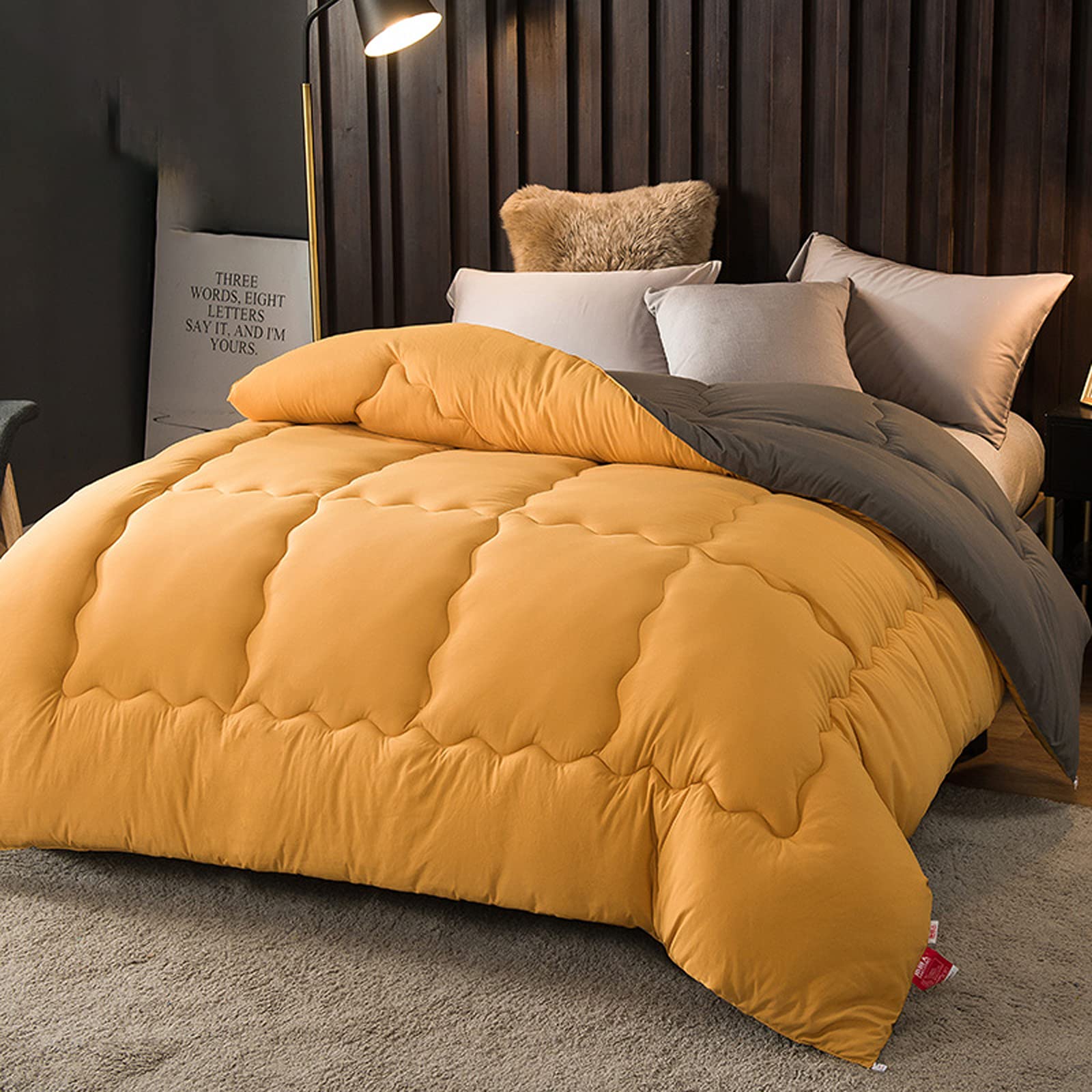 Douillette confortable FACAI couette haut de gamme coton et soie 220X240cm
