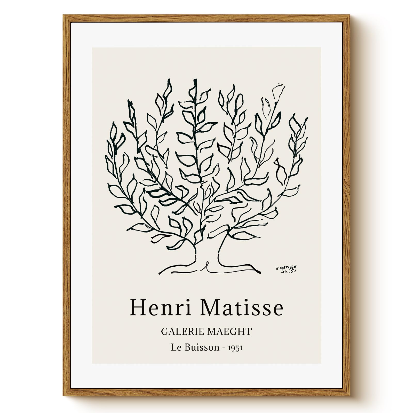WHASAYART Henri Matisse Botanical Line Framed Canvas 12x16