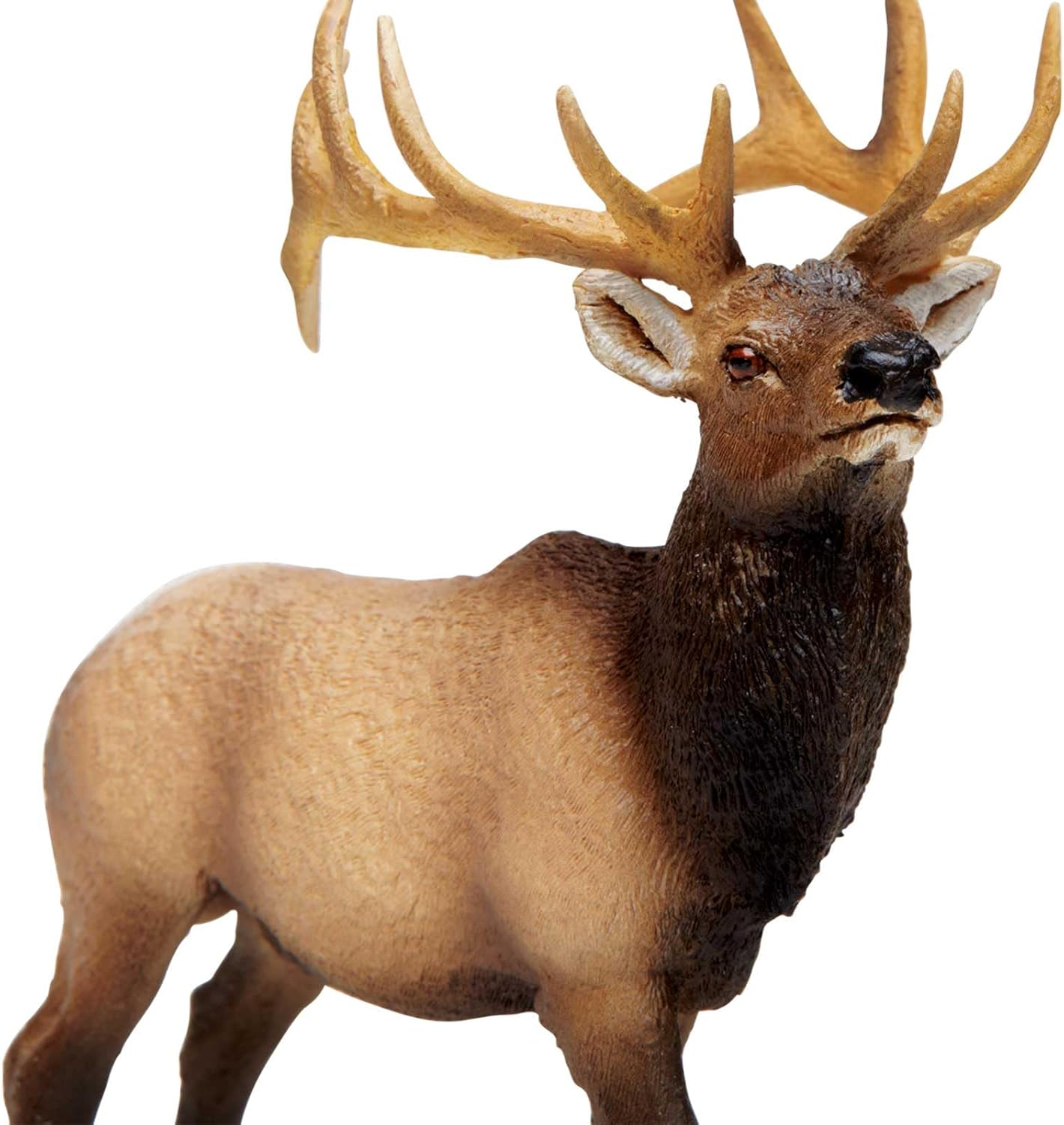 Safari Ltd. Elk Bull Figurine - Detailed 4.75" Plastic Model Figure - Fun Educational Play Toy for Boys, Girls & Kids Ages 3+