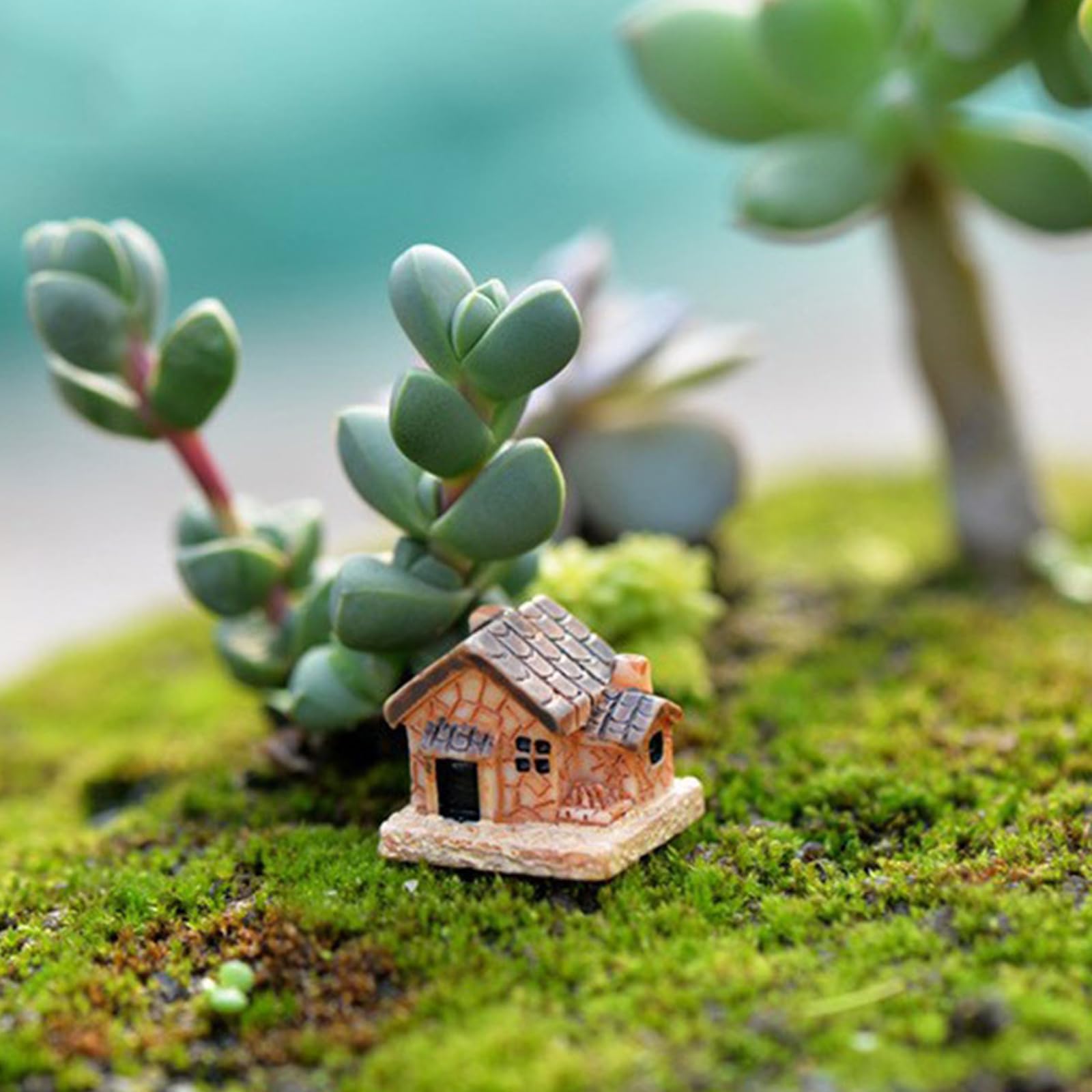 Fairy Garden Case Di Pietra 11 Pezzi Mini Fata Giardino In Miniatura Miniatura Fata Giardino Case Fai Da Te Decorazione Casa Delle Bambole Per La Decorazione Di Bottiglie Di Muschio