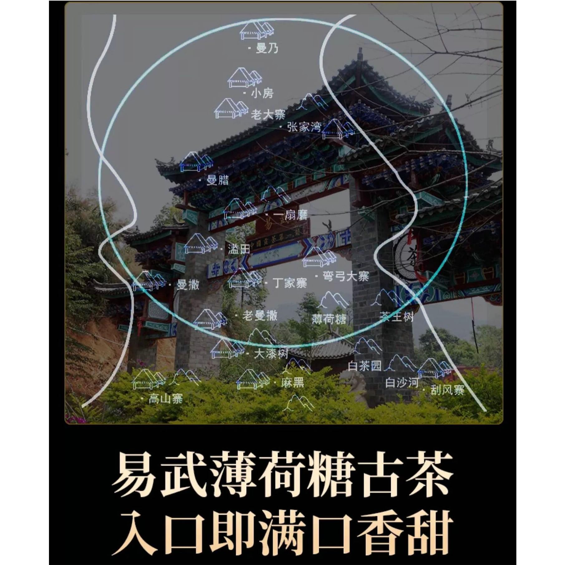 2012 Yiwu Bohe Tang Single Plant Raw Pu-erh Tea Cake, 357g, from Yunnan