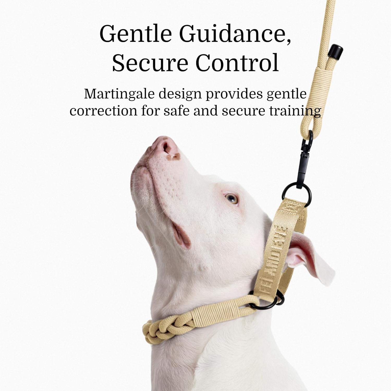 2026 New Edition, Fei & Eve Hand-Braided SP Cotton Martingale Collar – No-Pull, Gentle Design for Dog Neck – No Buckle, Heavy-Duty & Secure – The Thoughtful Gift for Dog Lovers, Large, Champagne