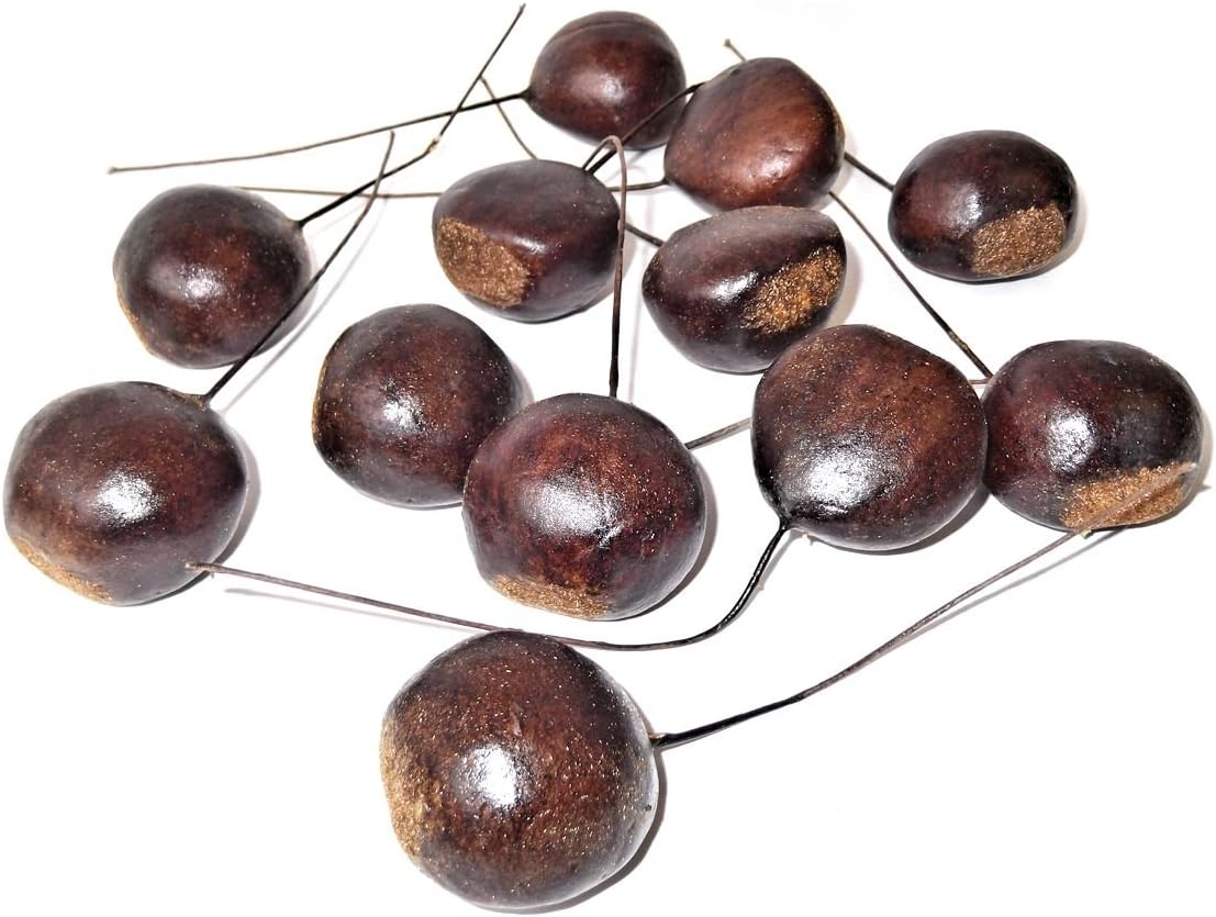 Artificial Conker Picks - Autumn & Winter Decorations