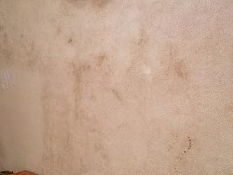 nylac carpet cleaner