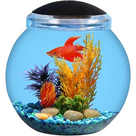 Koller Products 1-Gallon Glass Fish Bowl with LED Lighting