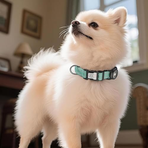 Miniatura 24 de Collar para perro Airtag con código QR, collar reflectante con soporte para Airtag, acolchado suave y hebilla de bloqueo de seguridad, collar Negro