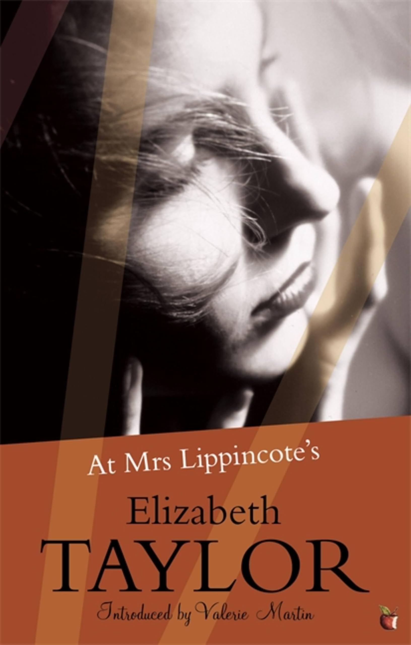 At Mrs Lippincote's by Elizabeth Taylor PAPERBACK 9781844083091