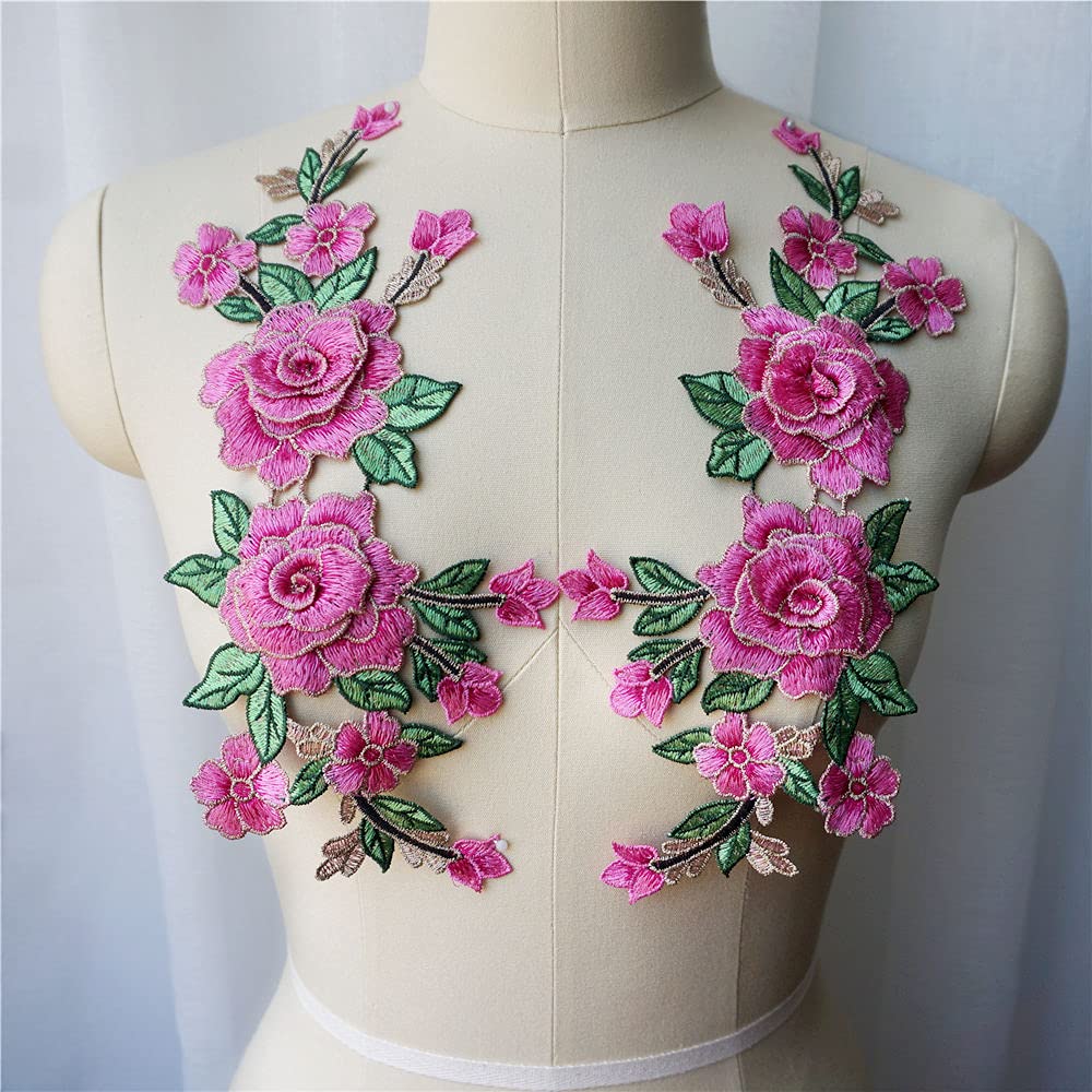Squisito design di ricamo per colli decorati per Dress