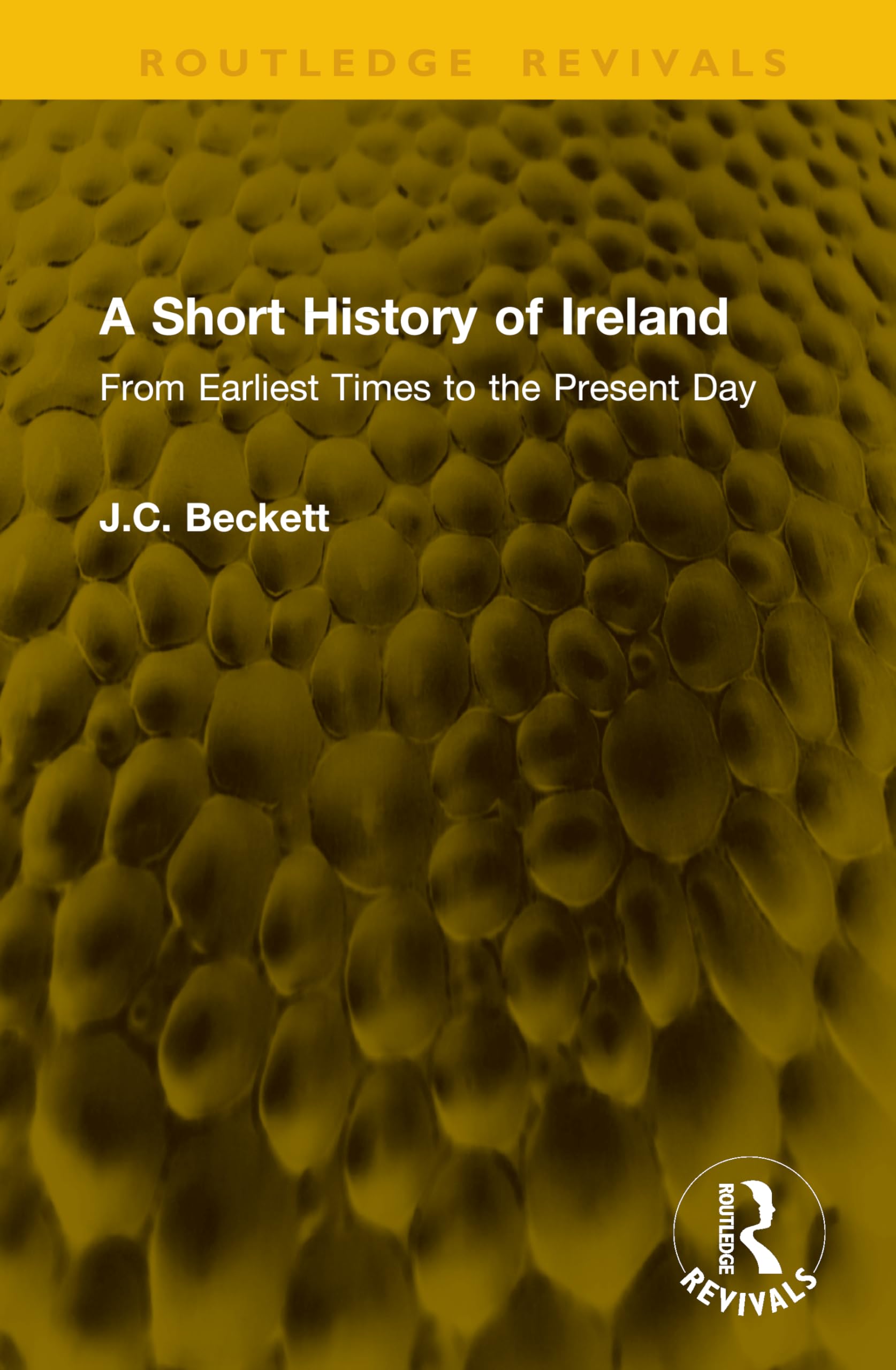 A Short History of Ireland: From Earliest Times to the Present Day (Routledge Revivals)